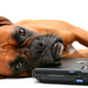 Illustration for article titled So I just realized that the Internet is exhausting...
